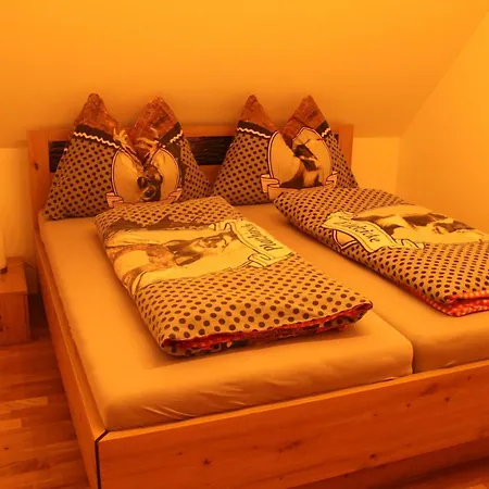 Schirgi 셍트카트라인엠오프네그